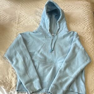 Champion Light Blue Women's Hoodie